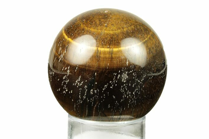 Polished Tiger's Eye Sphere #241617